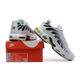 TN Plus  (03/25) "40.46"