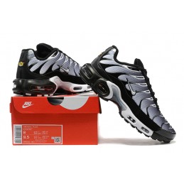 TN Plus  (06/25) "36.46"