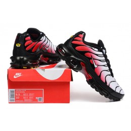 TN Plus (06/25) "40.46"