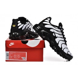 TN Plus  (10/25) "40.46"