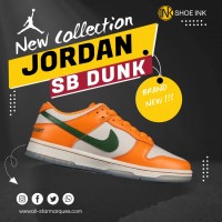 Jordan Air  Retro SB Dunk